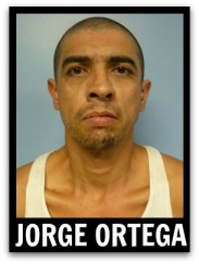 2 - 1 jose ortega sustancias ilicitas la paz