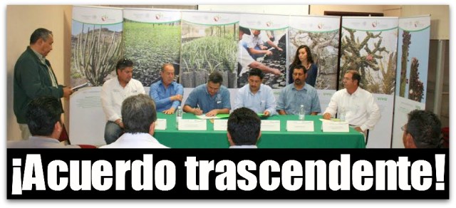 2 - 1 conafor ejido santo domingo