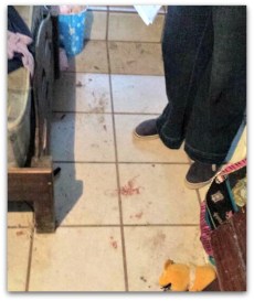 2 - 1 allanamiento familia robles 2