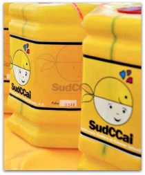 2 - 1 anforas sudccai