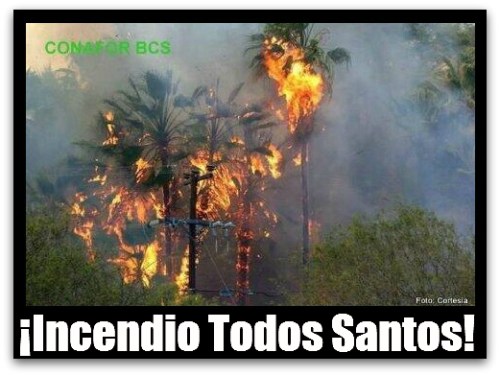 2 - 1 BOMBEROS DE LA PAZ INCENDIO TODOS SANTOS