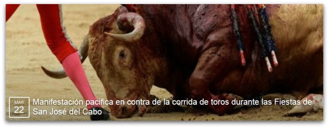 2 - 1 corrida de toros san jose del cabo 002