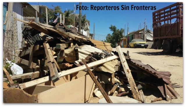 2 - 1 gardenias engañados por ayuntamiento