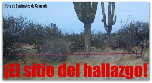 2 - 1 restos oseos ejido 4 comondu