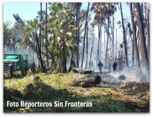2 - 1 TODOS SANTOS INCENDIO 01