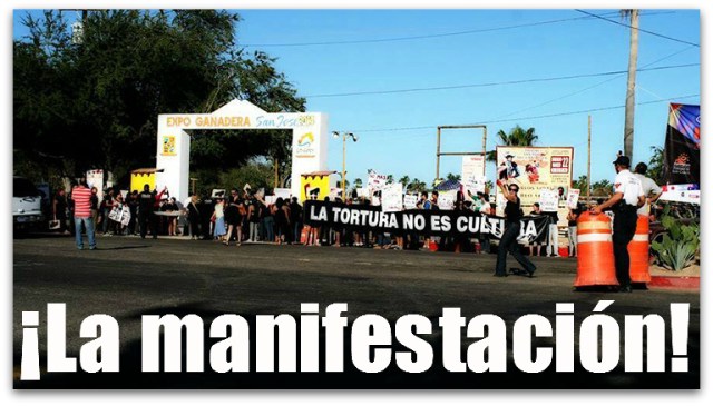 2 - 1 toros corrida san jose del cabo