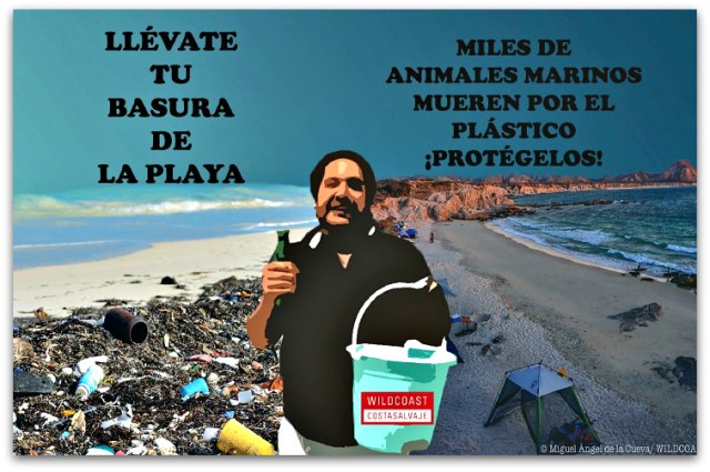 2 - 1 campaña costa salvaje