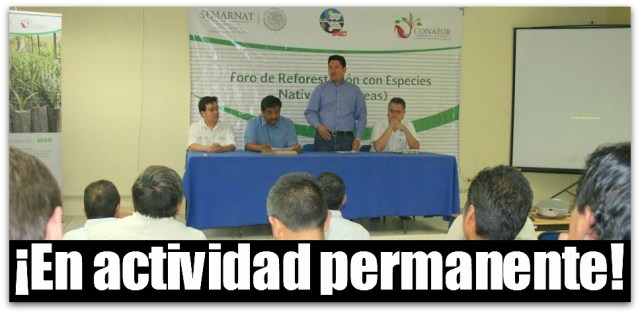 2 - 1 conafor foro de reforestacion