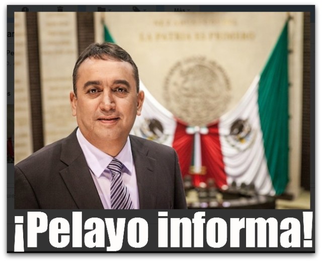 2 - 1 pelayo francisco covarrubias diputado