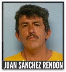 2 - 1 sspe sanchez rendon