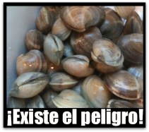 2 - 1 almejas ojo de liebre