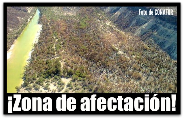 2 - 1 brigadas conafor en mulege 02