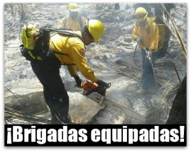 2 - 1 brigadas conafor en mulege