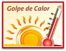 2 - 1 golpe de calor