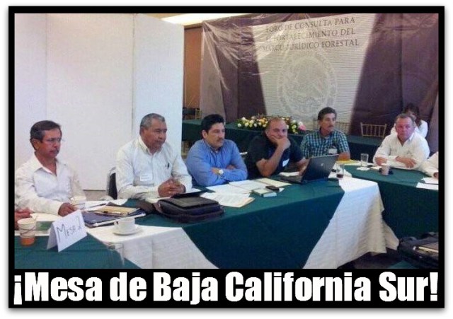 2 - 1 hipolito david mesa bcs