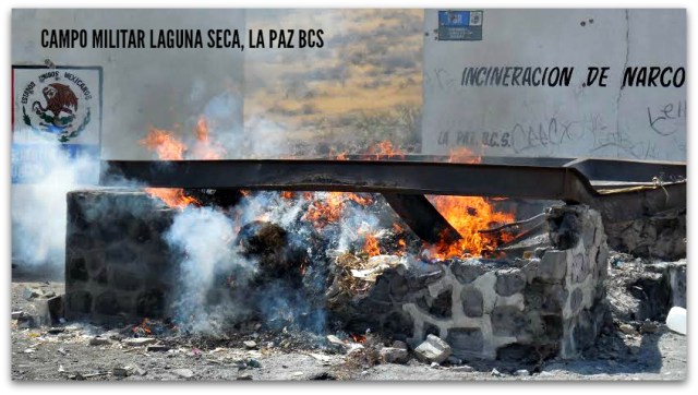2 - 1 pgr incineracion mayo 26 2014