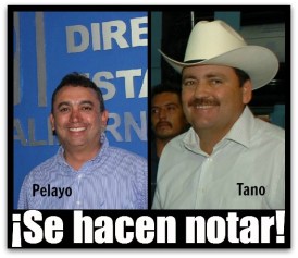 2 - 1 precandidatos a gobernador