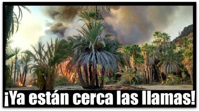 2 - 1 san ignacio incendio 2014