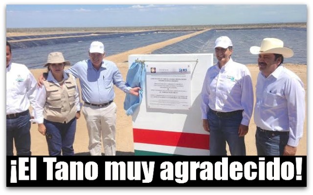 2 - 1 tano carcamos en puerto san carlos