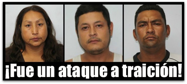 2 - 1 VIUDA NEGRA BAJA CALIFORNIA SUR