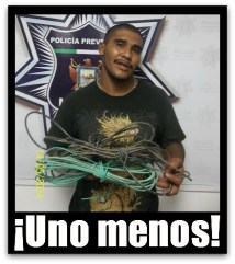 2 - 1 z nuevo sol robo cableado