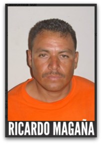 2 - 1 billetes falsos