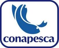 2 - 1 conapesca