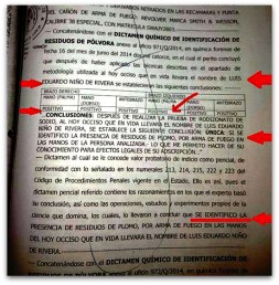 2 - 1 dictamen pericial 002