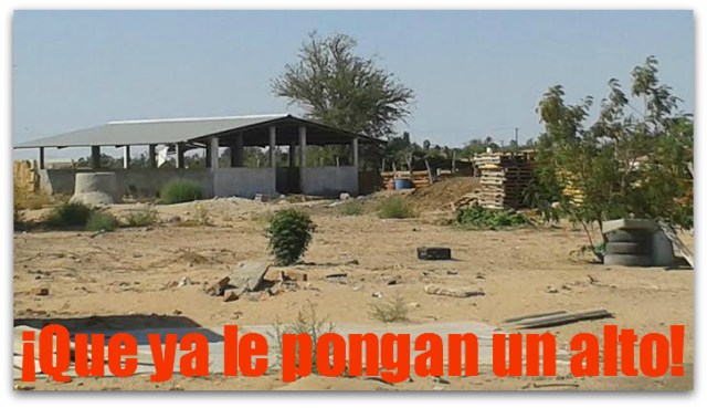 2 - 1 granja porcina regidor