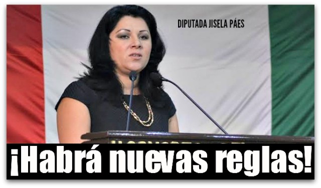 2 - 1 jisela paes ley electoral