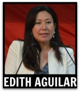 2 - 1 ley electoral EDITH