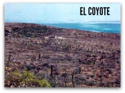 2 - 1 mare nostrum predio el coyote