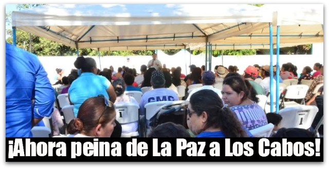 2 - 1 picore zona rural bcs