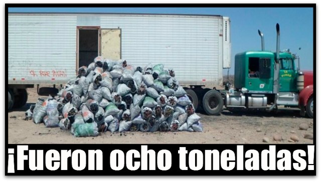 2 - 1 profepa carbon vegetal