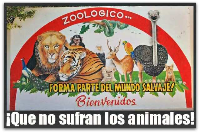 2 - 1 zoologico de santiago 3