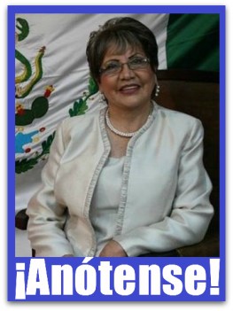 2 - 1 adela gonzalez paridad electoral