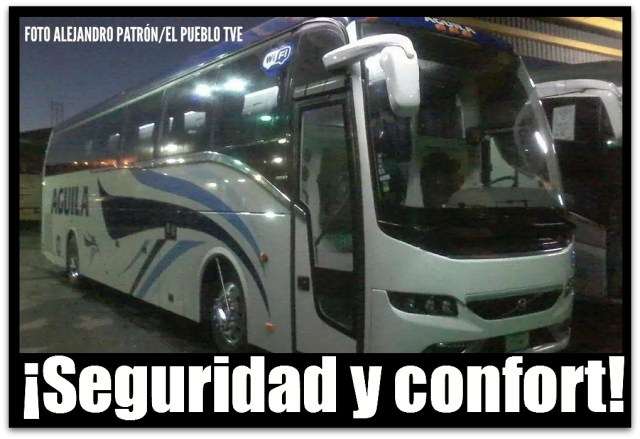 2 - 1 aguila autobus ejecutivo 001
