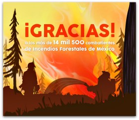 2 - 1 conafor incendios forestales