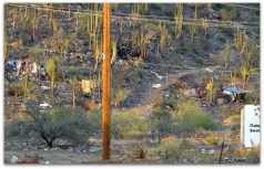 2 - 1 invasion silenciosa