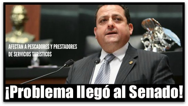 2 - 1 picore combustible gasolina cabo san lucas