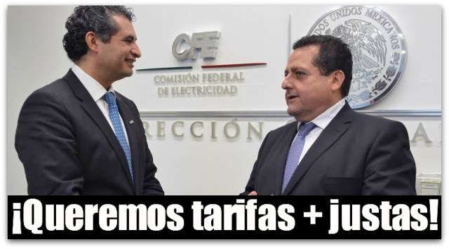 2 - 1 PICORE EN LA COMISION FEDERAL DE ELECTRICIDAD