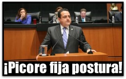 2 - 1 pozos petroleros picore