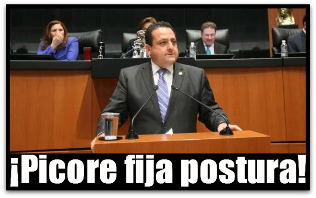 2 - 1 pozos petroleros picore