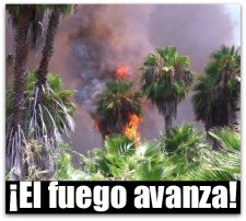 2 - 1 todos santos incendio la poza