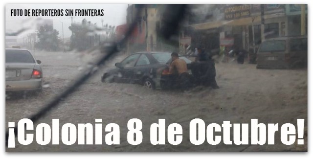 2 - 1 torito en la paz bcs lluvia