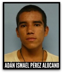 2 - 1 adan ismael perez alucano