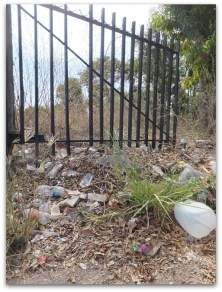 2 - 1 huerta jesuita 002