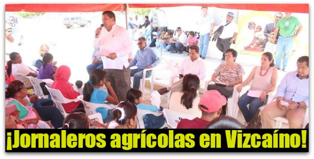 2 - 1 oaxaqueños mulege