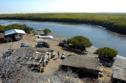 2 - 1 pesca cabo san lazaro