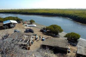 2 - 1 pesca cabo san lazaro